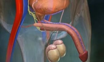 Майлы HD порно видеолар